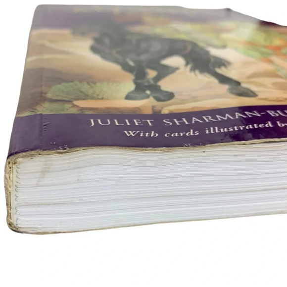 The New Mythic Tarot Book, Caselli, Giovanni Acceptable Condition  USED - Picture 5 of 16